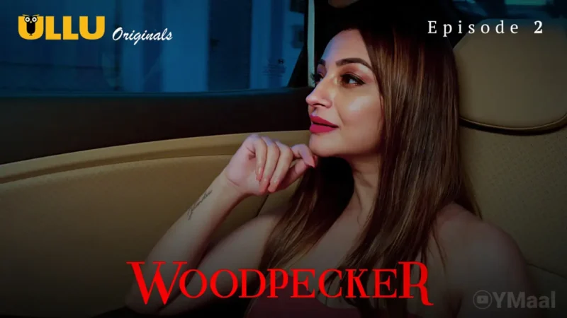 Woodpecker